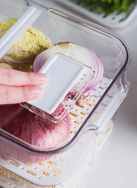 Conteneurs de stockage d'aliments